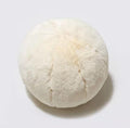 MOJUN Plush Ball Pillow, Round Throw Pillow Home Decoration Floor Pillow Cushion by MOJUN