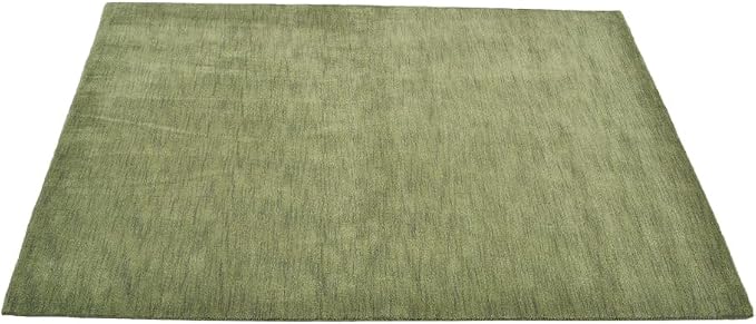 Hand Knotted Loom Wool ECO-Friendly Area Rugs - Image 4