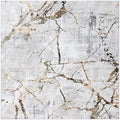 SAFAVIEH Amelia Collection Area Rug by SAFAVIEH