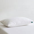 Three Geese White Goose Feather Down Pillows Standard Size Set of 1-100% Cotton by ThreeGeese