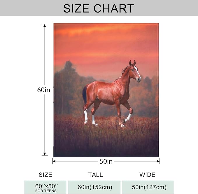 Sunset Horse Throw Blanket for Couch, Super Soft Fuzzy Throws Warm Comfortable - Image 4