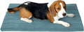 BALANCE Dog Crate Bed, Orthopedic Dog Bed Pad by BalancePet
