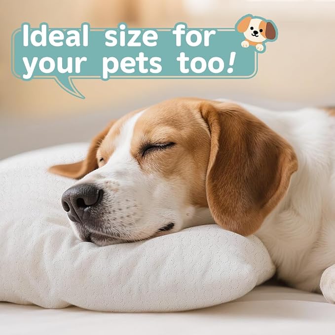 Toddler Pillow for 2-5 Year Olds, Organic Cotton Toddler Crib Pillow - Image 9