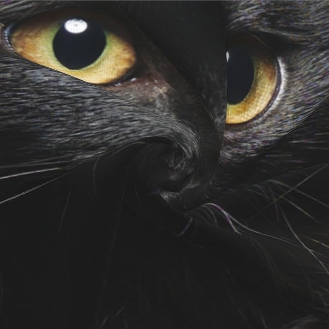 Black Cat Throw Pillow Covers Decorative Linen Pillow Cases Set of 2 Square - Image 7