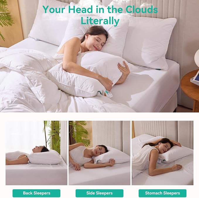 Three Geese White Goose Feather Down Pillows Standard Size Set of 1-100% Cotton - Image 4