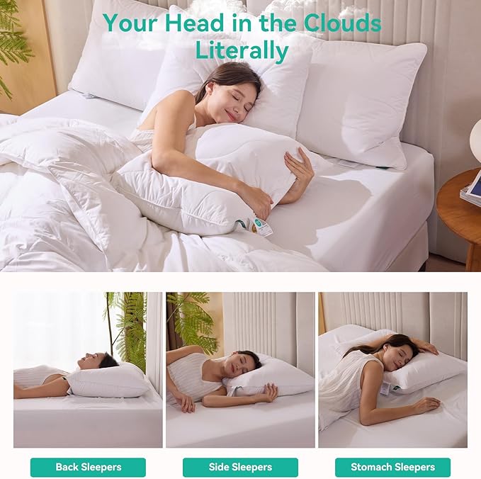 Three Geese White Goose Feather Down Pillows King Size Set of 1-100% Cotton - Image 4