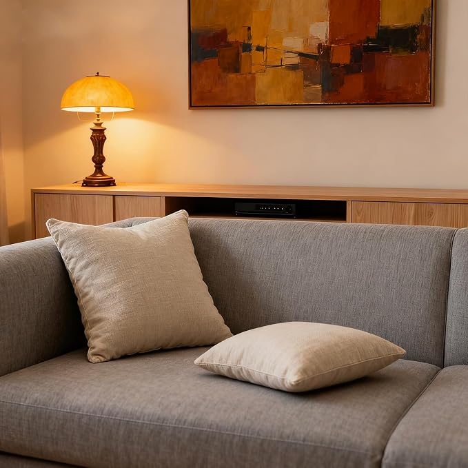 Throw Couch Pillow with Insert 18x18 Inches Set of 2 Square, Cute Modern Home by Unknown