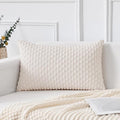 Kevin Textile 14x24 Inch Pillow Cover 1 Pack Boho Christmas Decorative Soft by KevinTextile