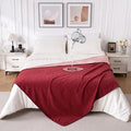 QiyI Waterproof Blanket for Bed Queen Size, Reversible Washable Pet-Friendly by QIYI