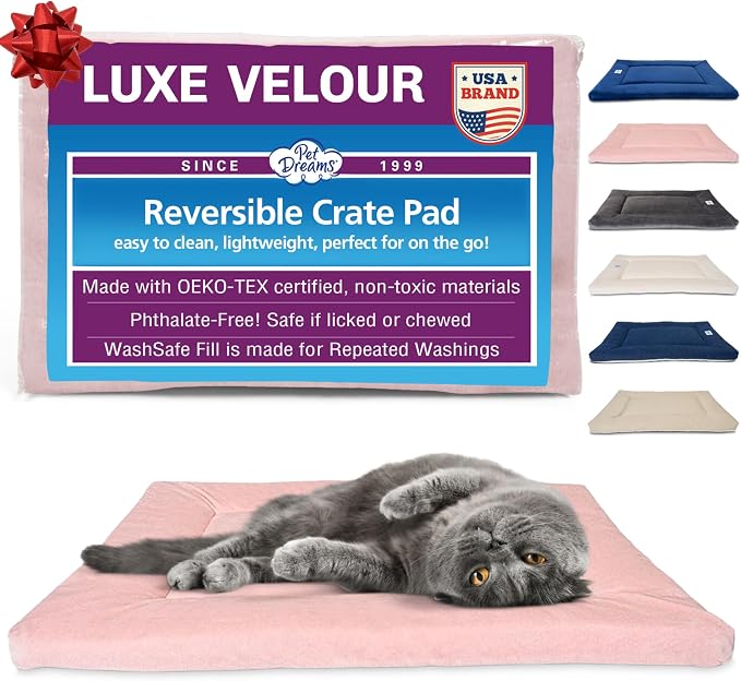 Pet Dreams Small Cat Bed by PetDreams