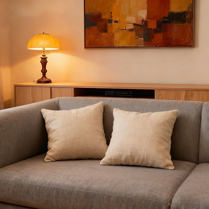 Throw Couch Pillow with Insert 18x18 Inches Set of 2 Square, Cute Modern Home - Image 5