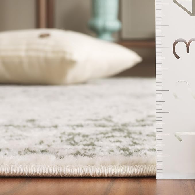 SAFAVIEH Adirondack Collection Area Rug - Image 4