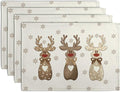 Christmas Reindeer Snowflakes Placemats Set of 4 Xmas Cute Elk Deer Place Mats by Wnoesat