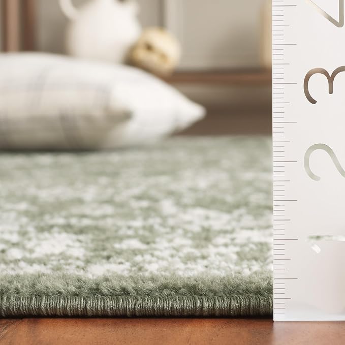 SAFAVIEH Adirondack Collection Area Rug - Image 3