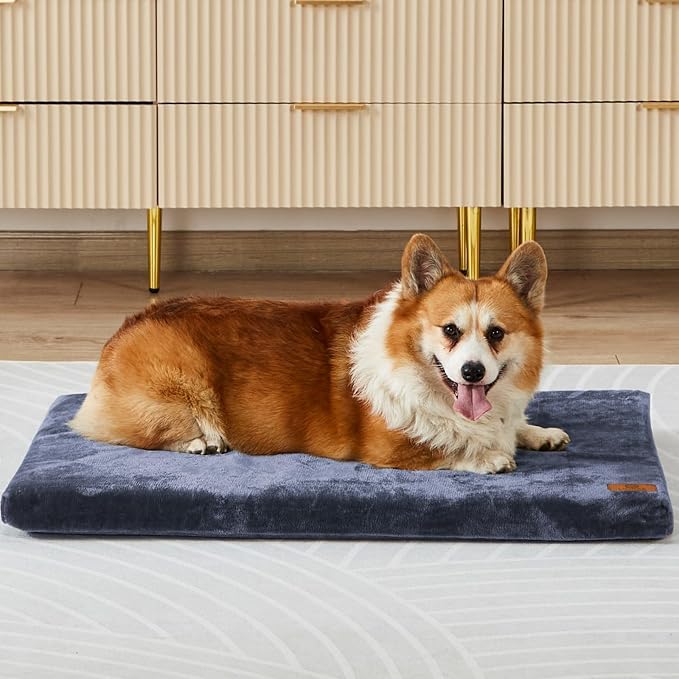 Dog Bed Medium Size Dogs by LIORCE