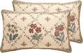 patdrea Designer Throw Pillow Covers Set of 2, Rectangle Vintage Light Brown by Welcometopatdrea