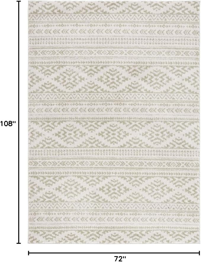 SAFAVIEH Area Rug 6x9 - Image 3