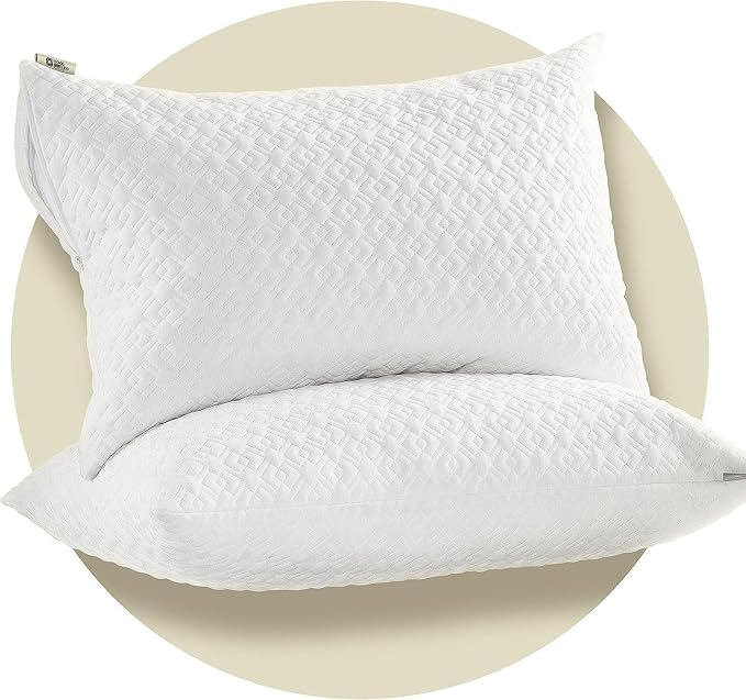 CoolShields Pillow Protector Queen – Waterproof Zippered Pillow Covers by CooShields
