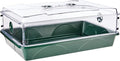 EarlyGrow 93774 Domed Propagator, 1 Height Extender by EarlyGrow