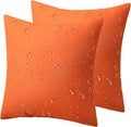 Phantoscope Pack of 2 Premium Dual Usage Outdoor Pillow Inserts, Waterproof by Phantoscope