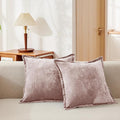 Luxurious Velvet Throw Pillow Covers 20x20 Set of 2 Decorative Pillow Covers by COCOPLOCEUS