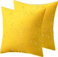 Phantoscope Pack of 2 Premium Dual Usage Outdoor Pillow Inserts, Waterproof by Phantoscope