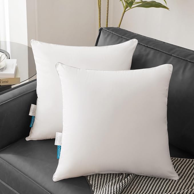 Oubonun 26 x 26 Pillow Inserts - Image 2