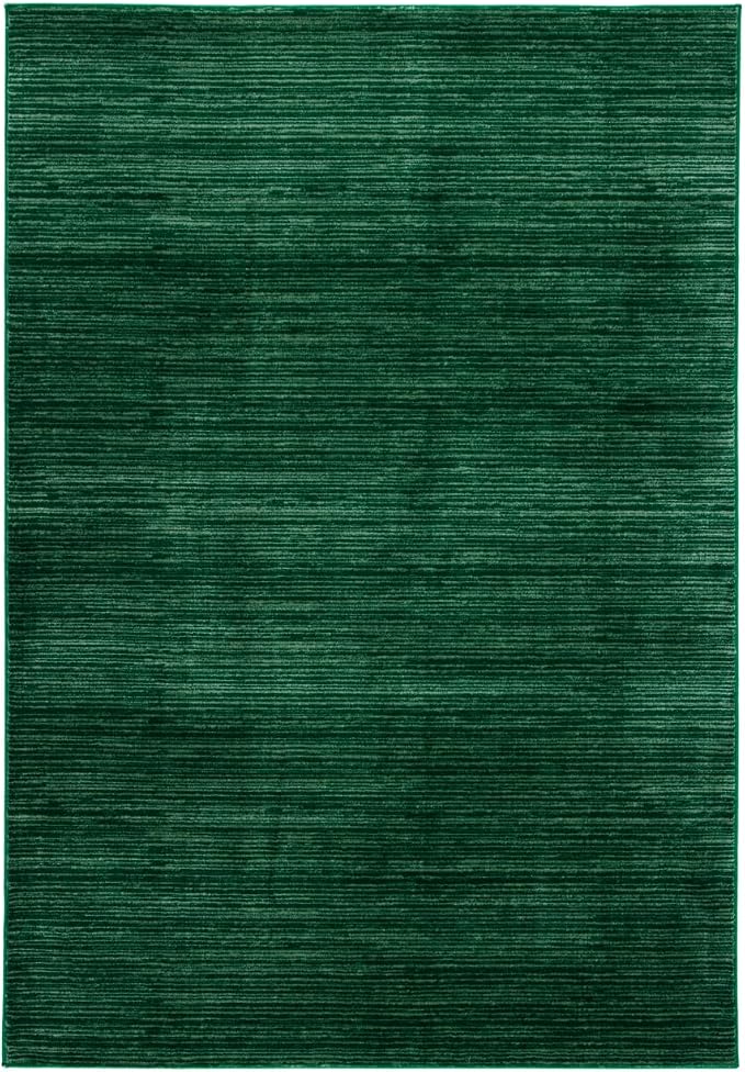SAFAVIEH Vision Collection Accent Rug by SAFAVIEH