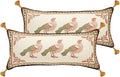 Rectangle Throw Pillow Covers Pack of 2, Velvet Farmhouse by bilingaier