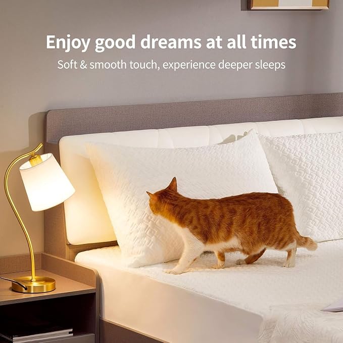 CoolShields Pillow Protector Queen – Waterproof Zippered Pillow Covers - Image 6