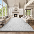 Ophanie Area Rugs 9x12 Living Room, Large White Bedroom Carpet, Big Shag Indoor by Ophanie