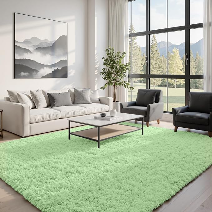 6x9 Area Rugs for Living Room Rug: Soft Fluffy Shag Mint Green Rugs for Bedroom by CarpetAddColortoYourLife