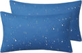 Phantoscope Pack of 2 Premium Dual Usage Outdoor Pillow Inserts, Waterproof by Phantoscope
