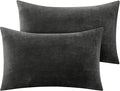 BEDELITE Flannel Pillow Cases Queen Size Set of 2, Super Soft Fleece Pillowcases by BEDELITE