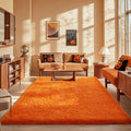 Ophanie Orange Rugs for Living Room Bedroom, 5x8 Fluffy Fuzzy Furry Carpet by Ophanie