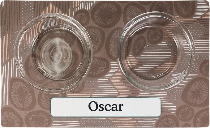 Drymate Personalized Pet Bowl Placemat, Custom Dog & Cat Food Feeding Mat - Image 2