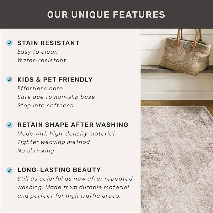 Farmhouse Area Rugs for Living Room - Image 7