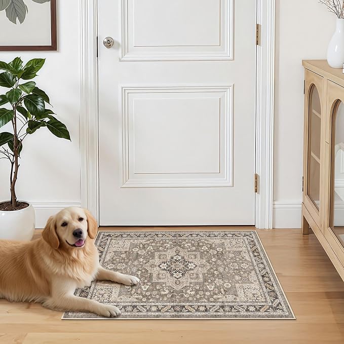Vintage Living Room Area Rug 3x5 - Image 7
