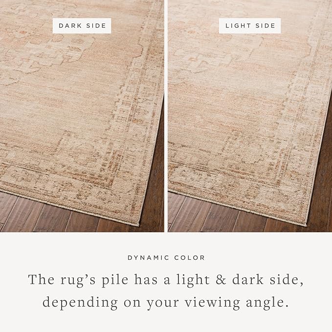 Loloi Chris Loves Julia Palma Collection PLM-02 Spice/Natural 6'-3" x 9'-6" - Image 3