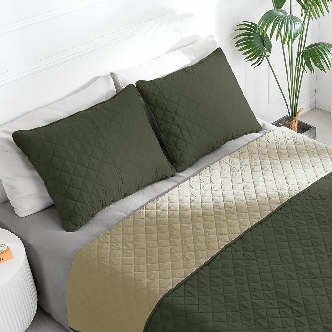 Easy-Going Full/Queen Size Reversible Quilt Set - Image 2