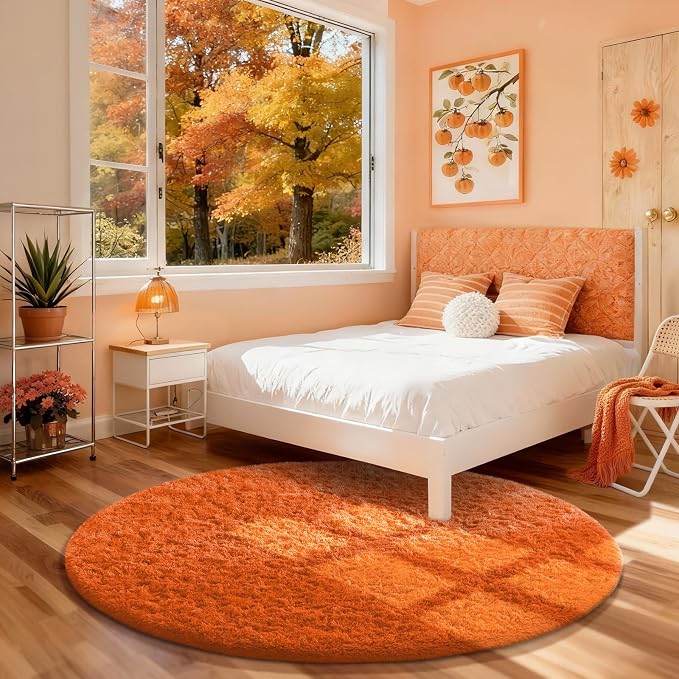 Ophanie Soft Fluffy Shaggy Rugs by Ophanie