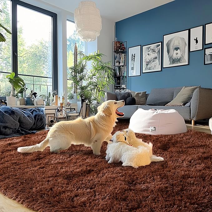 Brown Plush Rug for Living Room Fuzzy Carpet for Bedroom Dorm, Non-Slip High - Image 8