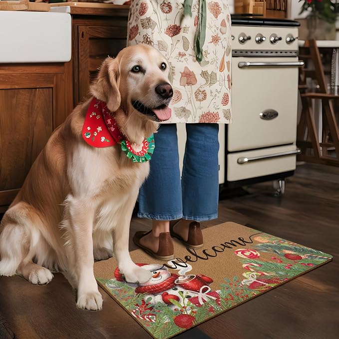 Christmas Snowman Door Mat, Winter Welcome Doormat, Christmas Holiday Welcome - Image 5