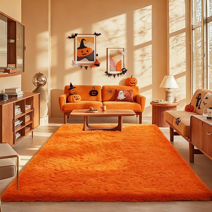 Ophanie Orange Rugs for Living Room Bedroom, 6x9 Fluffy Fuzzy Furry Carpet by Ophanie