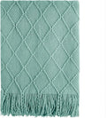 BOURINA Dark Cyan Throw Blanket 50x60 Inches Throw Textured Solid Soft Sofa by BOURINA