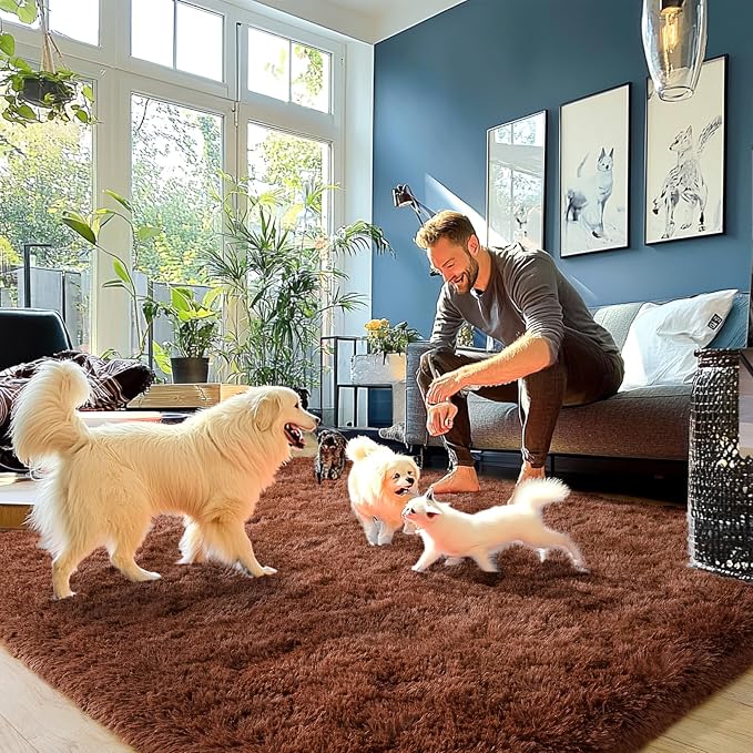 Brown Plush Rug for Living Room Fuzzy Carpet for Bedroom Dorm, Non-Slip High - Image 6