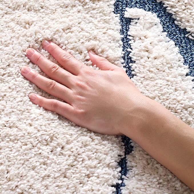 SAFAVIEH Florida Shag Collection Area Rug by SAFAVIEH