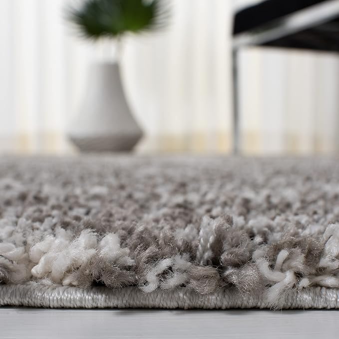 SAFAVIEH Area Rug 4x6 - Image 4