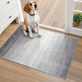 Wonnitar Modern Ombre Small 2x3 Entryway Rug, Washable Grey Front Door Mat by Wonnitar