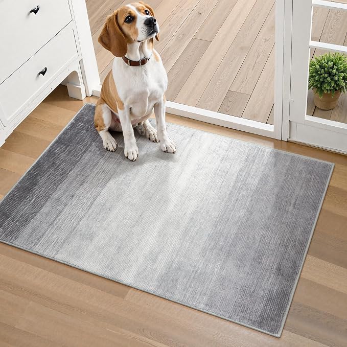 Wonnitar Modern Ombre Small 2x3 Entryway Rug, Washable Grey Front Door Mat by Wonnitar